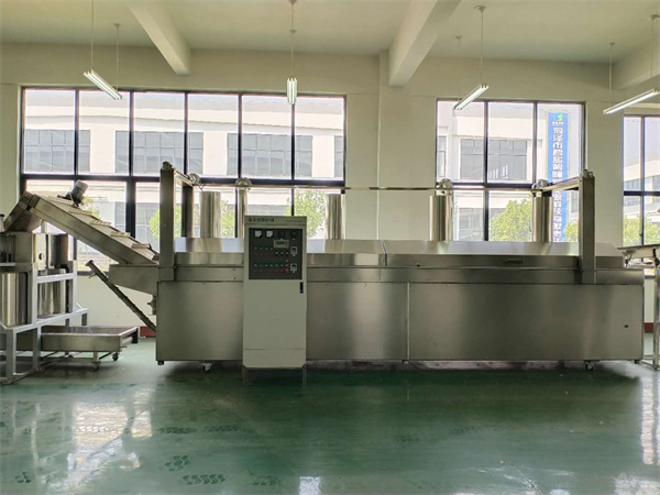 油炸生產(chǎn)線廠家